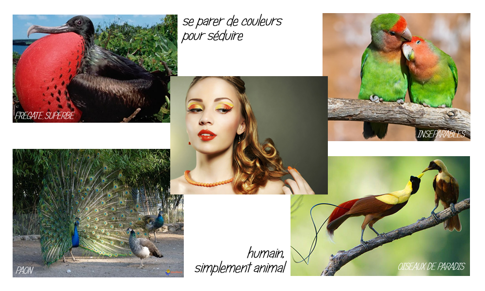 Se parer de couleurs pour sduire